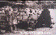 G�ls�m Dindar