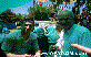 Kubilay Sabit Samur-S�leyman Ak