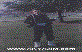 Ahmet B�lent Uludag