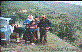 Demet-Ayse-Dilek-M�rvet-Mehmet Acar