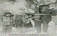 Osman Eken (R)-Hatice Ep�im (Kesmez dedeni esi)