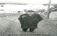 Mehmet Ep�im (R)
