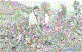 Mehmet Ep�im (R)