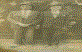 Mehmet Avci-S�leyman Dar�in