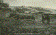 S�leyman Dar�in