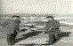 H�seyin Ep�im ve Hasan Sahin