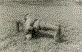 Ahmet(R) ve H�seyin Ep�im